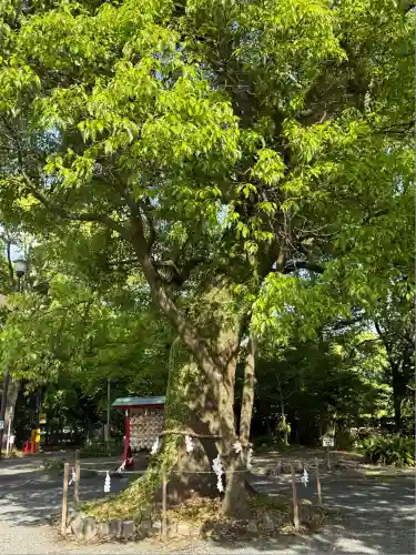 米之宮浅間神社(静岡県)