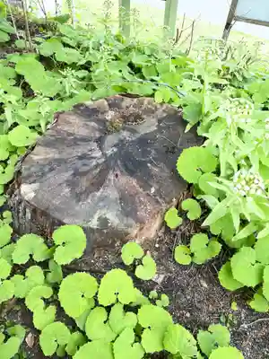 森三吉神社(北海道)