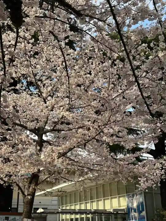 靖國神社(東京都)