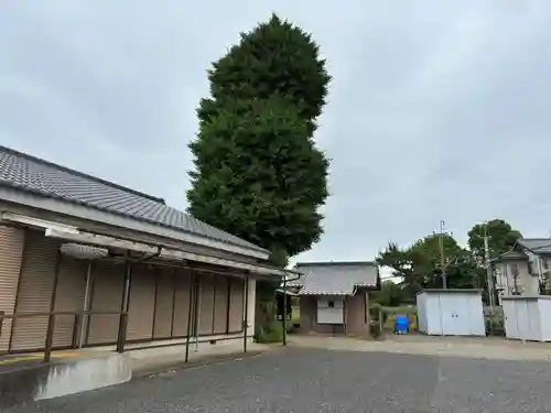 大杉神社(千葉県)