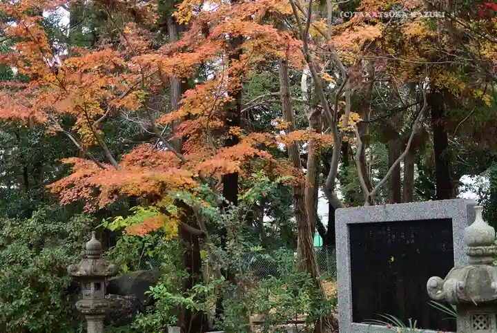 鶴嶺八幡宮(神奈川県)