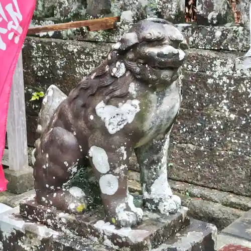 伊古奈比咩命神社の狛犬