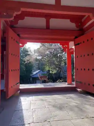 春日大社の{uncategorized: "未分類", other: "その他", undefined: "問題あり", building: "その他建物", grave: "お墓", sacred_gate: "鳥居", guardian: "狛犬", statue: "像", buddha: "仏像", history: "歴史", nature: "自然", garden: "庭園", animal: "動物", pagoda: "塔", temizu: "手水舎", mountain_gate: "山門・神門", sanctuary: "本殿・本堂", subordinate: "末社・摂社", art: "芸術", scenery: "景色", jizo: "地蔵", ema: "絵馬", goshuin: "御朱印", omikuji: "おみくじ", items: "授与品その他", amulet: "お守り", goshuincho: "御朱印帳", eats: "食事", festival: "お祭り", votive_dance: "神楽", shichigosan: "七五三参", wedding: "結婚式", experience: "体験その他", initially: "初詣", around: "周辺", anti_infection: "感染症対策"}