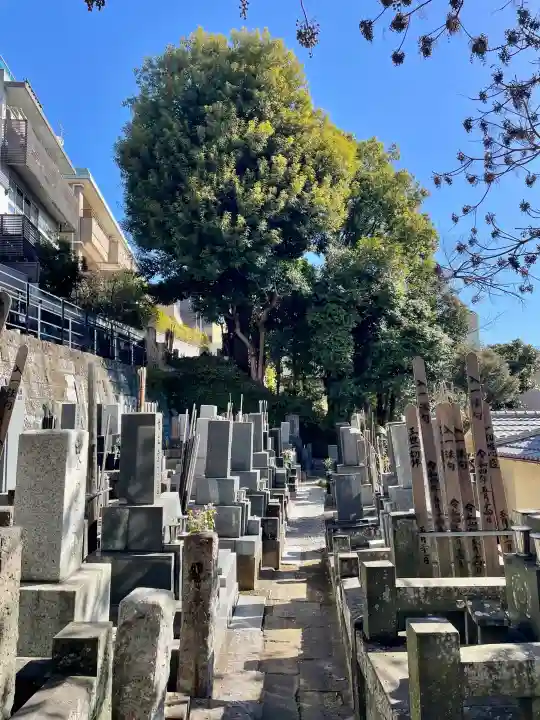 還国寺の{uncategorized: "未分類", other: "その他", undefined: "問題あり", building: "その他建物", grave: "お墓", sacred_gate: "鳥居", guardian: "狛犬", statue: "像", buddha: "仏像", history: "歴史", nature: "自然", garden: "庭園", animal: "動物", pagoda: "塔", temizu: "手水舎", mountain_gate: "山門・神門", sanctuary: "本殿・本堂", subordinate: "末社・摂社", art: "芸術", scenery: "景色", jizo: "地蔵", ema: "絵馬", goshuin: "御朱印", omikuji: "おみくじ", items: "授与品その他", amulet: "お守り", goshuincho: "御朱印帳", eats: "食事", festival: "お祭り", votive_dance: "神楽", shichigosan: "七五三参", wedding: "結婚式", experience: "体験その他", initially: "初詣", around: "周辺", anti_infection: "感染症対策"}