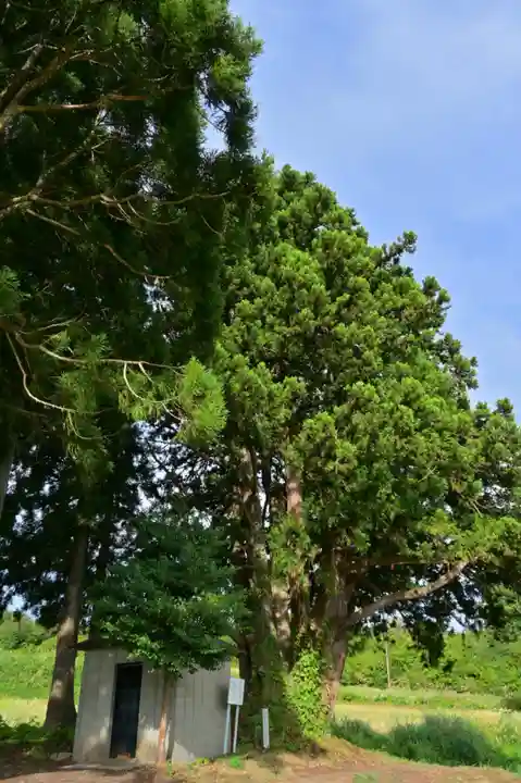 沢山神社(澤山神社)(新潟県)