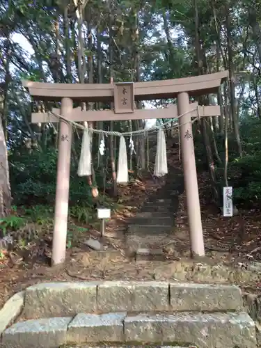 石上布都魂神社の鳥居