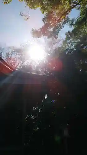 鷲宮神社の景色