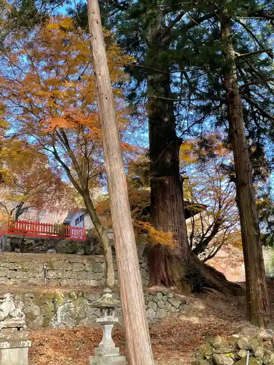 金櫻神社(山梨県)