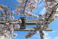 葛木御歳神社の鳥居