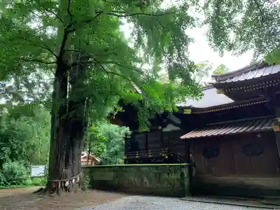 玉敷神社の本殿・本堂