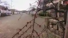 尾張大國霊神社（国府宮）の自然