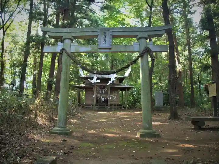 磐裂根裂神社の鳥居