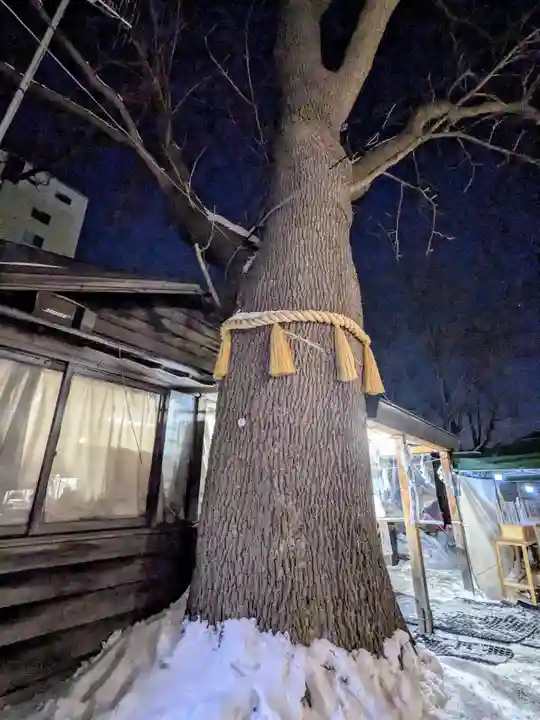 札幌諏訪神社の自然