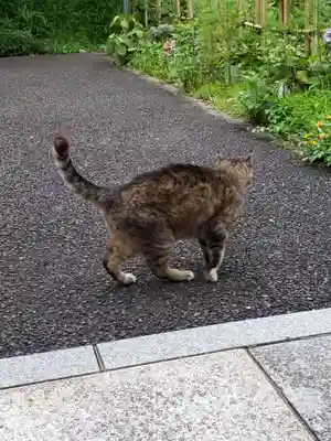 白金氷川神社(東京都)