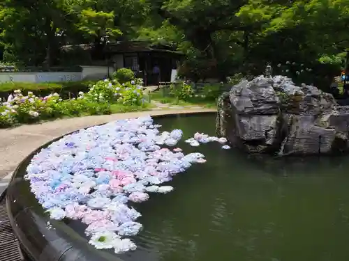 久安寺の庭園