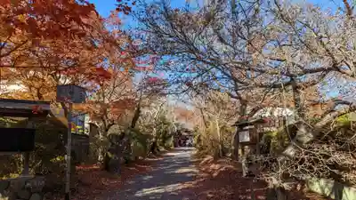 常照寺(京都府)