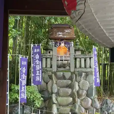 白金龍王社(愛知県)