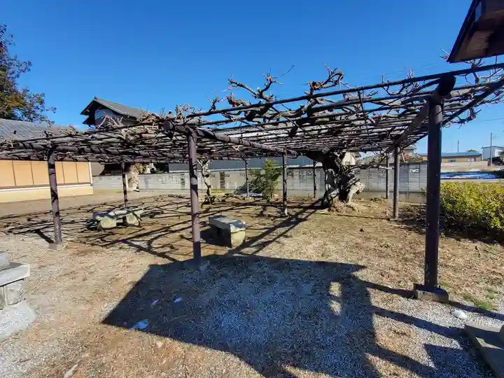 雷電神社(下渋垂町)(栃木県)