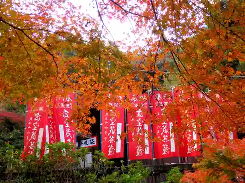 連祥院の本殿・本堂