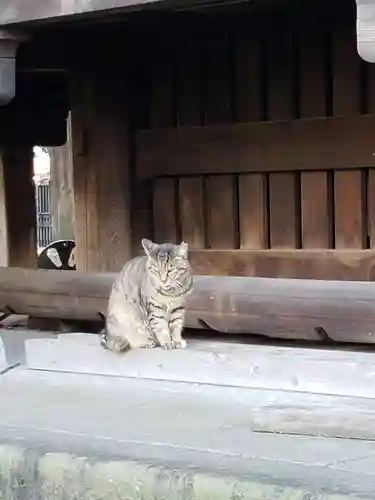 太宗寺の動物