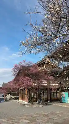 興正寺(京都府)