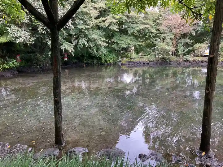 富士山本宮浅間大社(静岡県)
