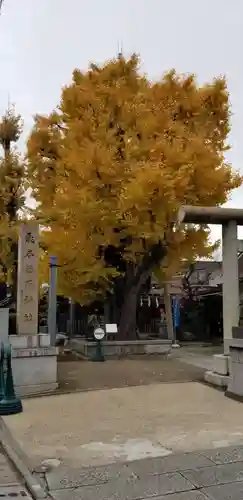 飛木稲荷神社の自然