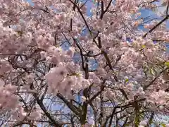 櫟野寺(滋賀県)