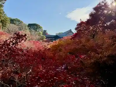 東福禅寺(東福寺)(京都府)
