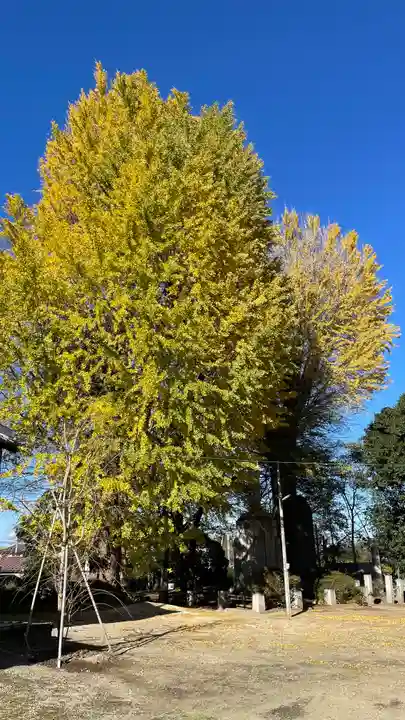 総願寺(埼玉県)