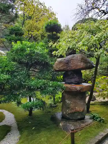 報国寺の庭園