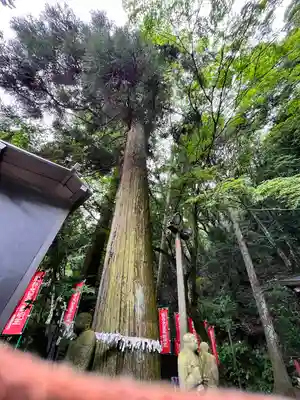 持寳院(多氣山不動尊)(栃木県)