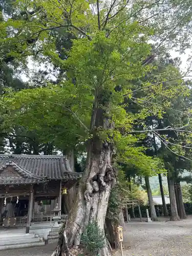 水屋神社(三重県)