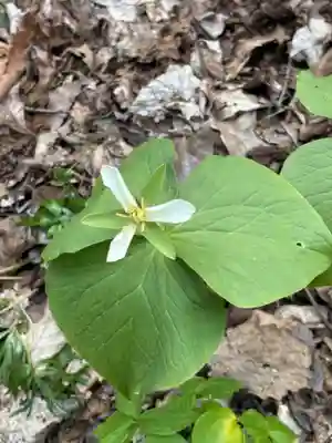 端野神社(北海道)