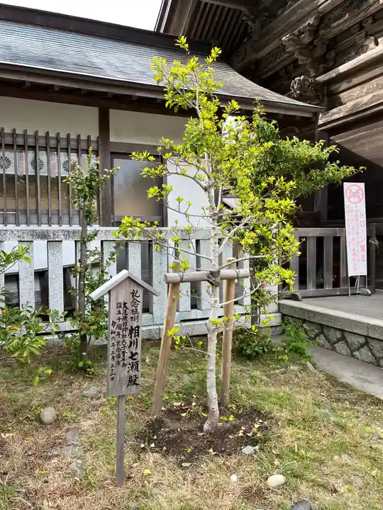 大洗磯前神社(茨城県)