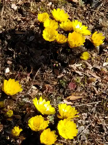 石都々古和気神社(福島県)