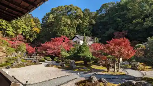 くろ谷 金戒光明寺の庭園