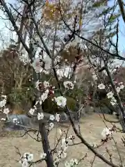 大生郷天満宮の自然