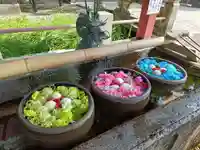 津島神社の手水舎