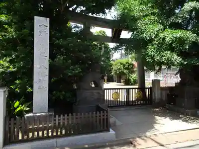 月見岡八幡神社の鳥居