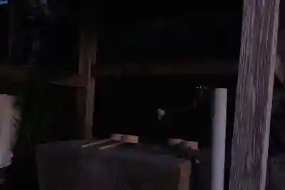 柏原神社(宮崎県)