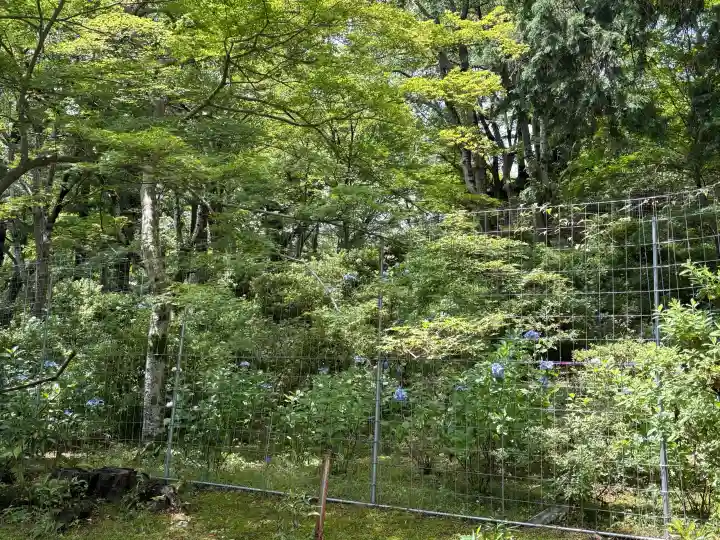 毘沙門堂門跡(京都府)