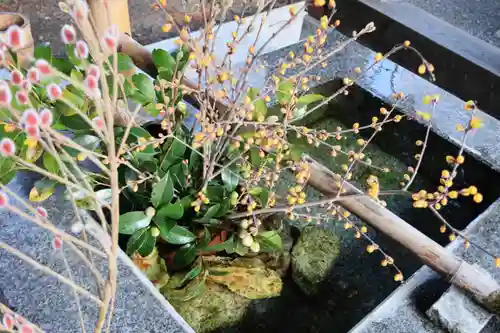 高司神社〜むすびの神の鎮まる社〜の手水舎