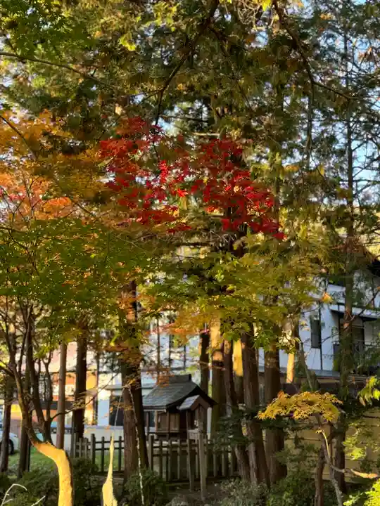 諏訪大社下社秋宮(長野県)