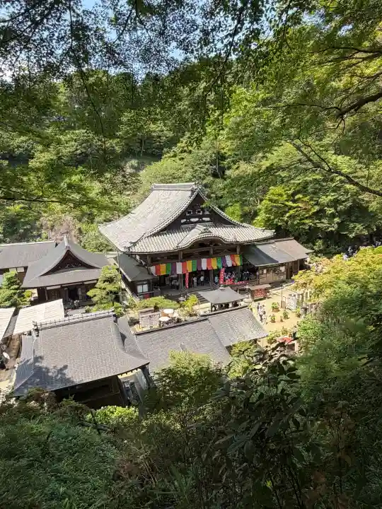 岡寺(龍蓋寺)(奈良県)