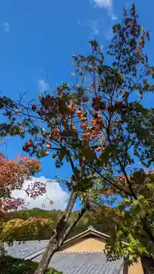 化野念仏寺(京都府)