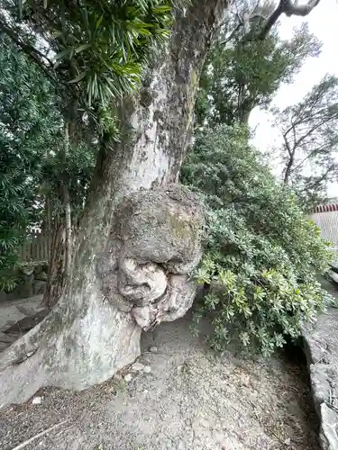 織殿神社(三重県)