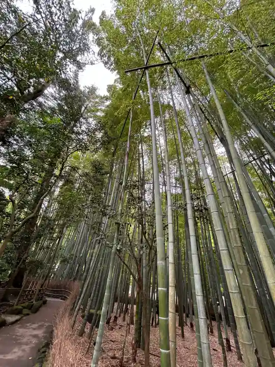 報国寺(神奈川県)