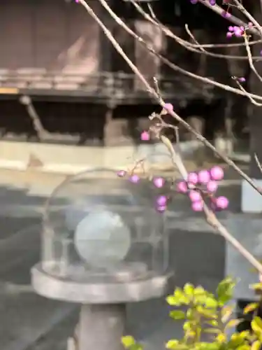 多摩川浅間神社(東京都)