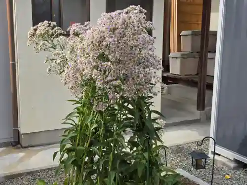 満徳寺(大阪府)